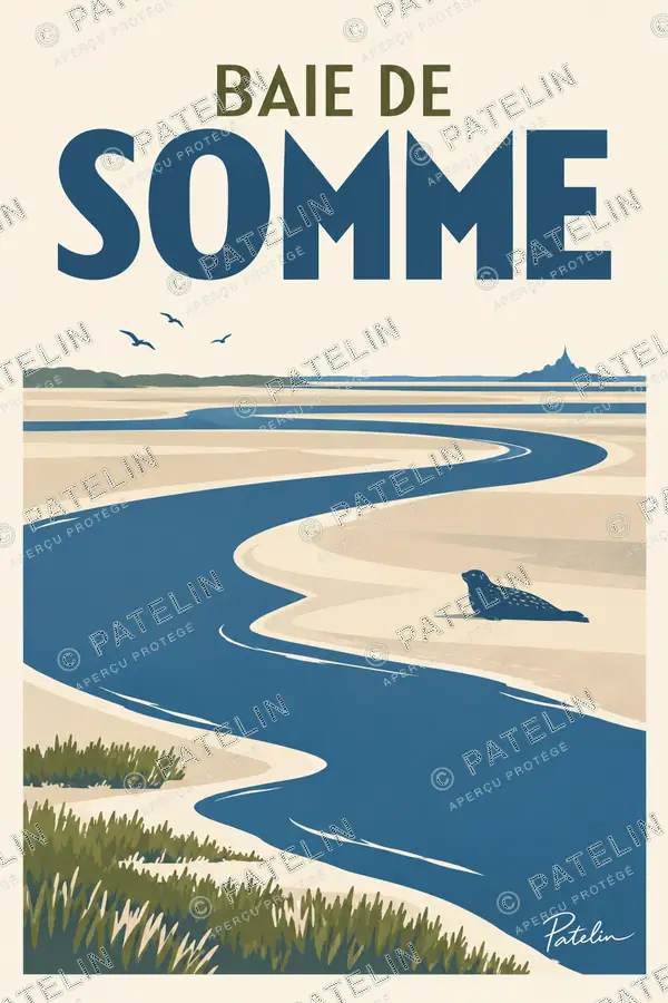 Illustration Baie de Somme — Les méandres de la baie et le phoque, style Minimal
